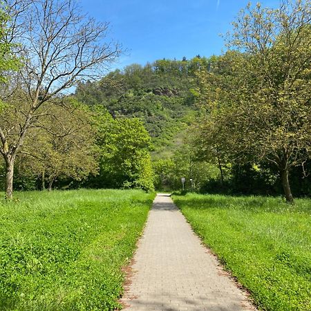 Ferienwohnung An Der Saar Конц Экстерьер фото